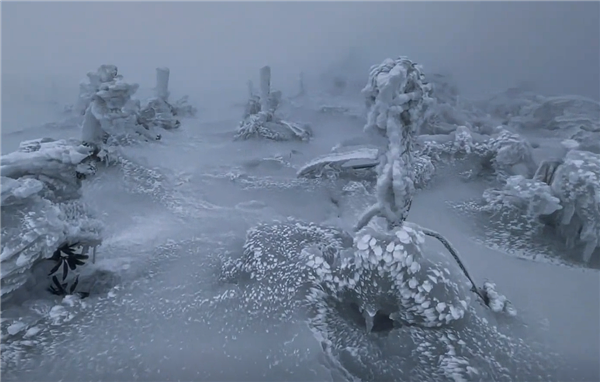 賭博：男子獨自上山看雪發現“冰封秘境”：越走心越慌